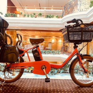 c95e1e514e7098db5bc170f847b18bea